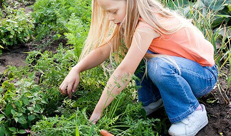 Green Gardening Techniques
